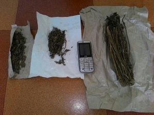 Polres Tanah Datar Tangkap 2 Pengedar Ganja