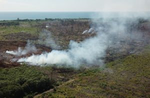 Polda Kalteng Tangani 40 Laporan Karhutla, 31 Orang Ditetapkan Tersangka