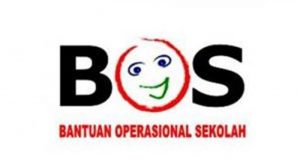 Polda Sumut Tangkap 15 Koruptor Dana Bos