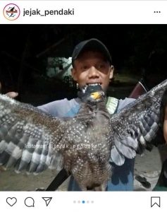 Respon Cepat, Polres Pandeglang Amankan Pelaku Penembak Burung Langka yang Viral di Medsos