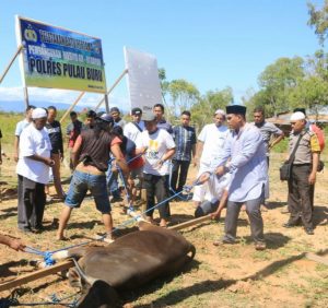 Polres Pulau Buru Sumbang Lima Ekor Sapi ke Lima Masjid