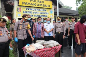 Kapolres Payakumbuh: Dengan 7.5 Kg Ganja yang Kita Musnahkan, Berhasil Selamatkan 75 Ribu Generasi Muda