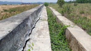 Pelabuhan Peti Kemas milik PT Pelindo di Berau Terbengkalai, Manajemen Tutup Mulut