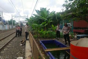 Dukung Program Kapolda, Kapolsek Pademangan Cek Kesiapan Kampung Tangguh Jaya di RW 11