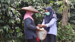 Nurma, Penyuluh Sosial Kampung Sinagar, Sukses Geliatkan Produksi Kopi Sinagar