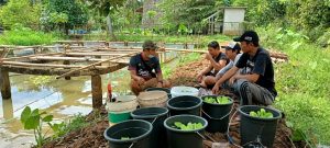 Masa Pandemi, Karang Taruna di Tangsel Terus Kembangkan Usaha Produktif