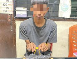 Polres Payakumbuh Tangkap Pelaku Tindak Pidana Narkotika, Ratusan Gram Ganja Kering Diamankan.