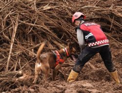 Keberhasilan Unit K9 Polda Jateng Temukan Dua Korban Longsor di Cilacap.