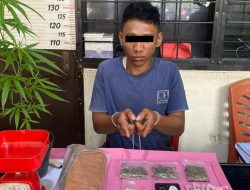 Tim Phantom Payakumbuh Tangkap Pengedar, Sita Sabu, Ganja, dan Tanaman Ganja.